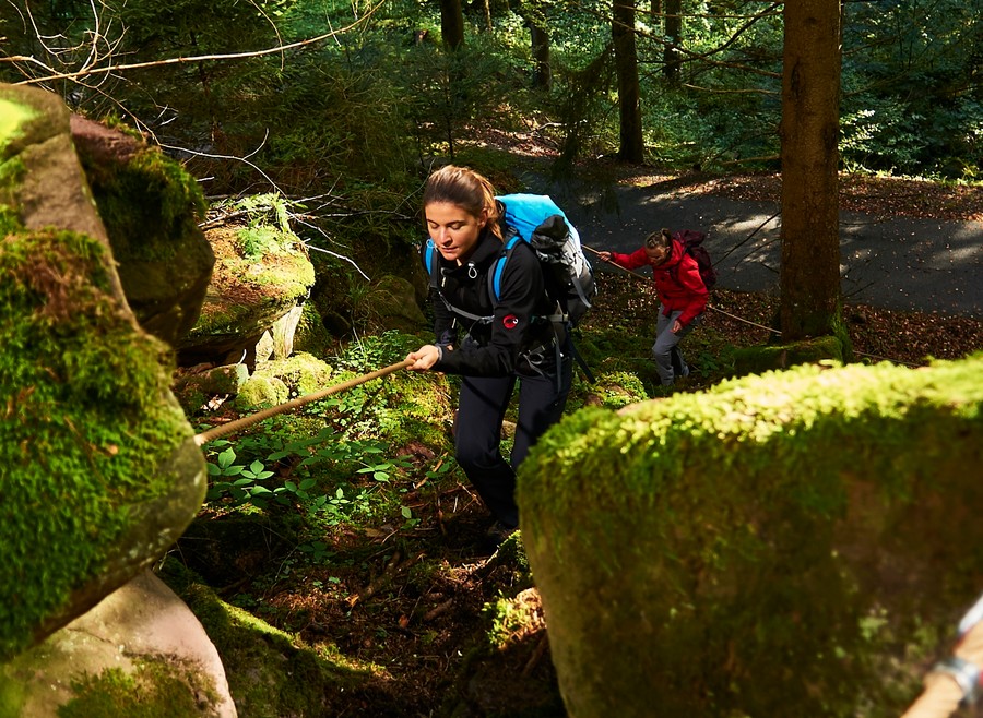 Zwei Personen machen eine Wandertour durch den Schwarzwald.