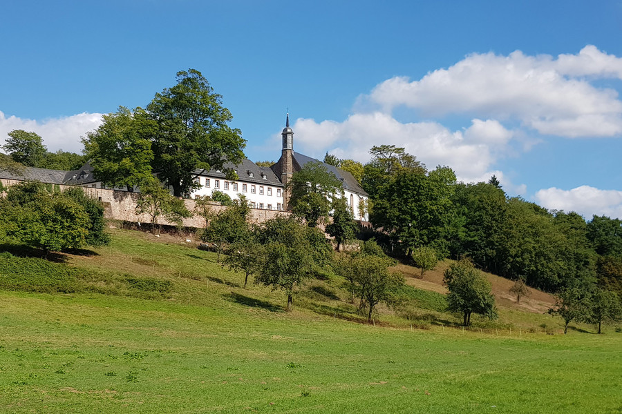 Blick auf die Benediktinerabtei Stift Neuburg bei Heidelberg mit einer großen Wiese und Bäumen.