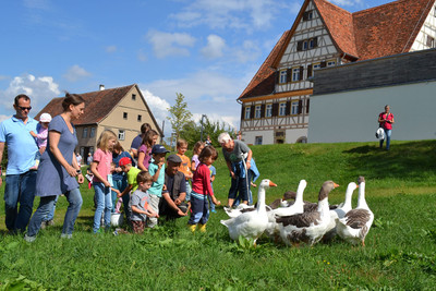 Im Freilichtmuseum Beuren sind Gänse, Schafe, Ziegen, Hühner, Weinbergschnecken und Kaninchen beheimatet.