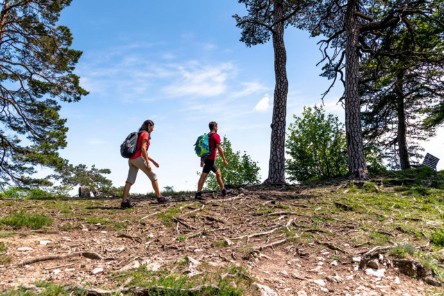 Zwei Menschen wandern auf der Schwäbischen Alb am Albtrauf mit einem tollen Panoramablick.