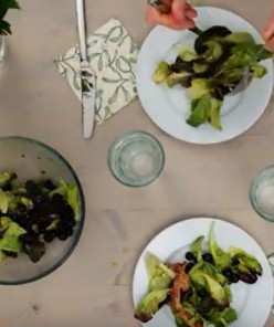 Grüner Salat, Avocado und wahlweise ein paar Scheiben gebratener Speck ergänzen sich zusammen mit frischen Heidelbeeren und einem Heidelbeer-Dressing zu einer leichten, gesunden Sommermahlzeit. | TMBW, Heidelbeer-Shop