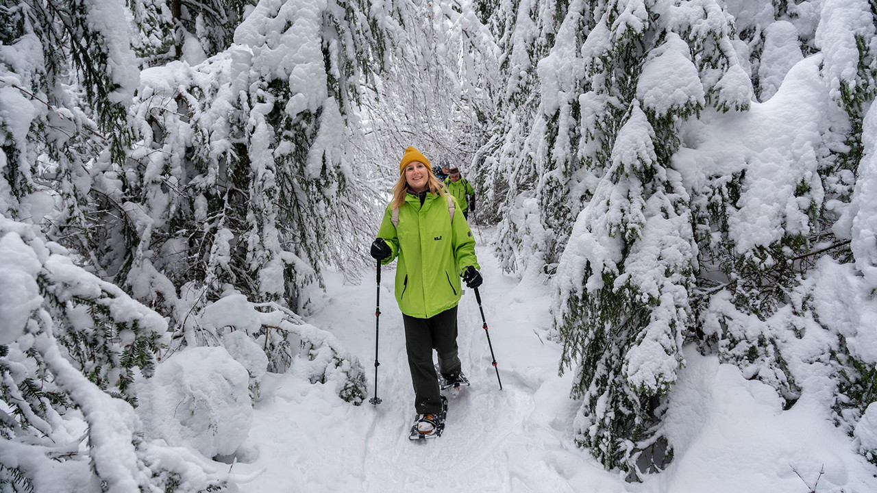 Durch den verschneiten Schwarzwald machen drei Personen eine Schneeschuhwanderung.