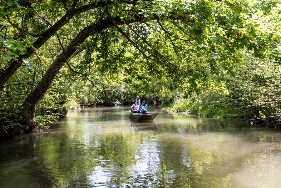Drei Personen machen auf dem Fluss Tauber eine Stocherkahnfahrt. Das Ufer wird gesäumt von vielen Bäumen und Büschen.