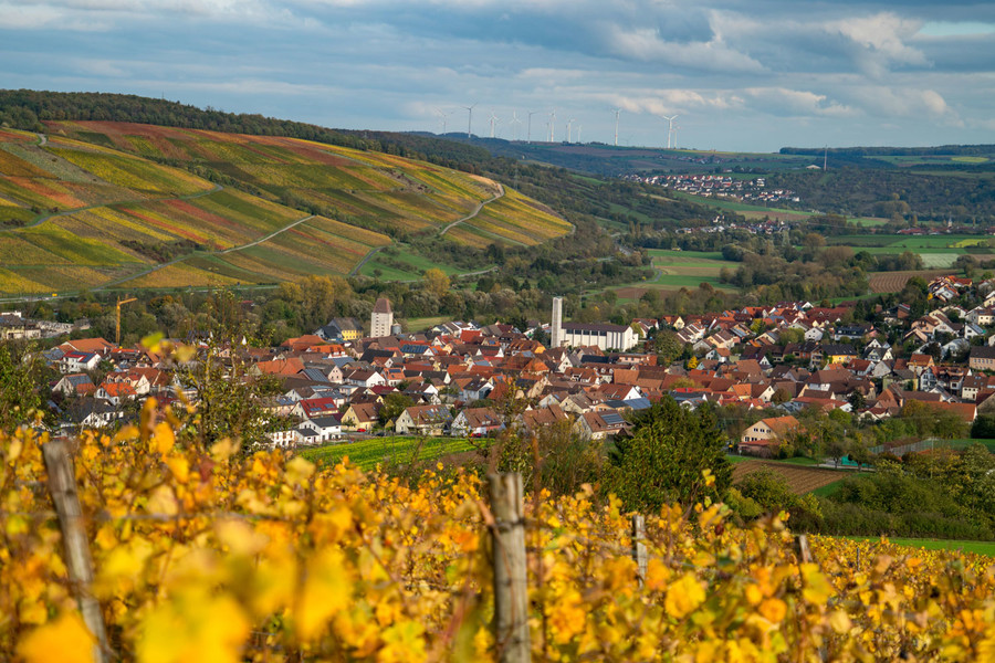 In der Weinregion Tauberfranken ziehen sich die Weinlagen sanft die Berghänge hinauf.
