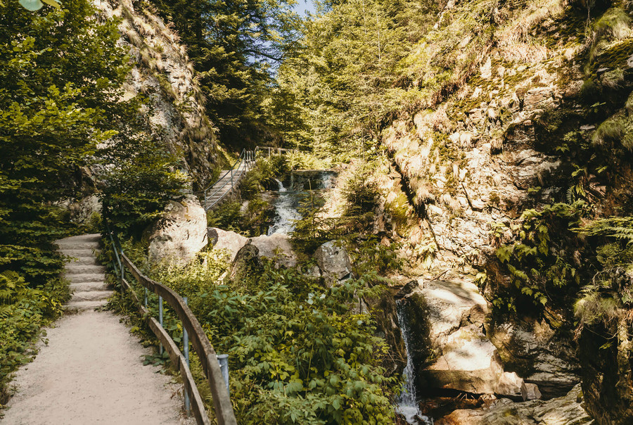 Wanderweg durch den Schwarzwald mit vielen Bäumen, Felsen und einem Wasserfall.