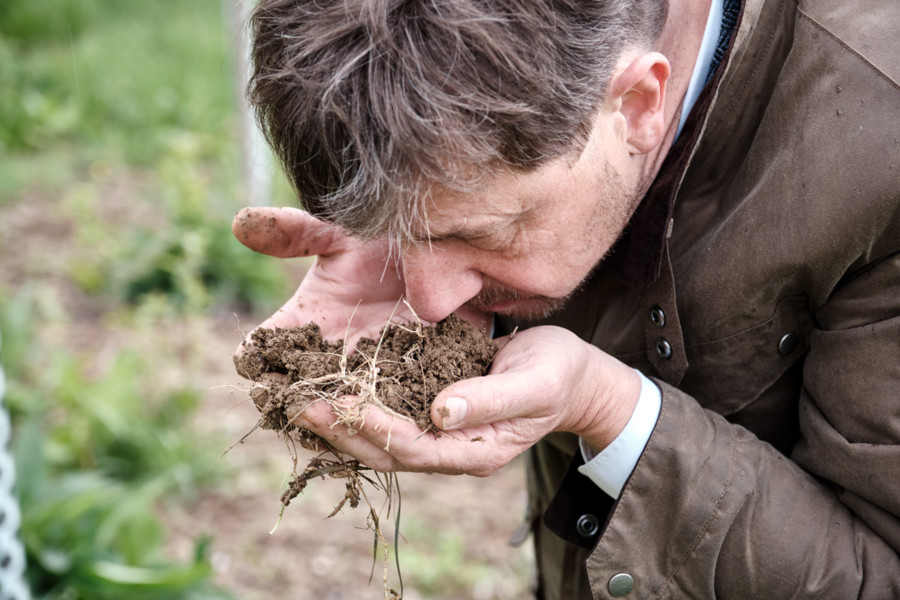 Jörg Geiger legt  Wert darauf, das Bodenmikrobiom seiner Streuobstwiesen in Schwung zu bringen