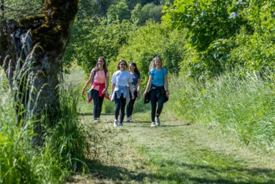 Vier Frauen wandern auf einem Wanderweg in einem Wald- und Wiesengebiet.