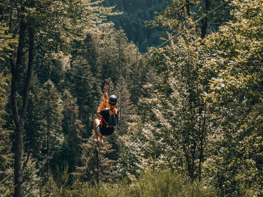 An einer Zipline lässt sich eine Person durch den Schwarzwald gleiten.