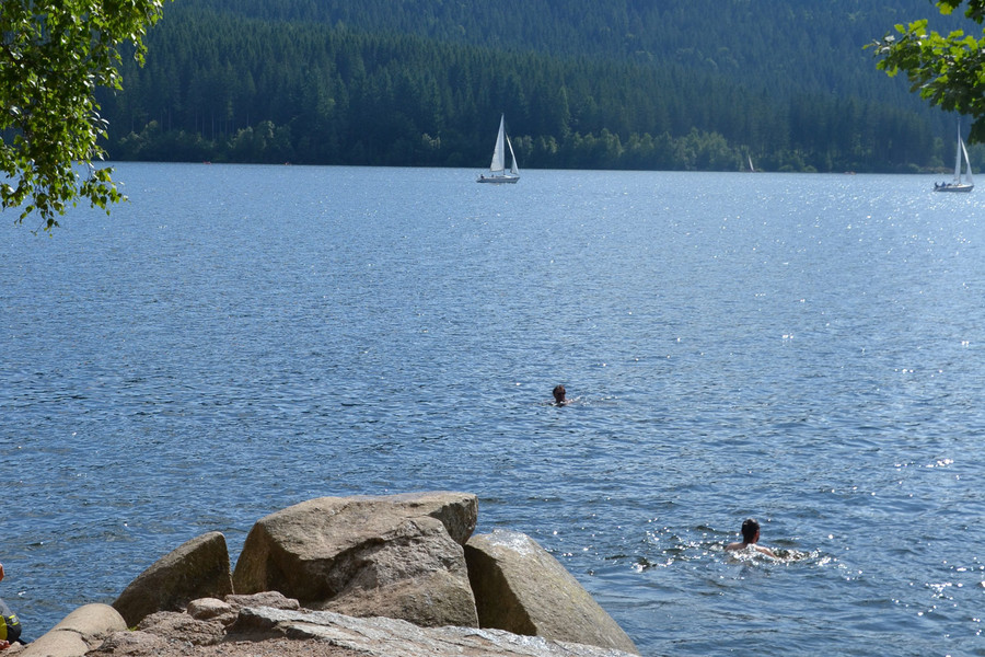 In einem großen See schwimmen zwei Personen. Im Hintergrund sind Segelboote.