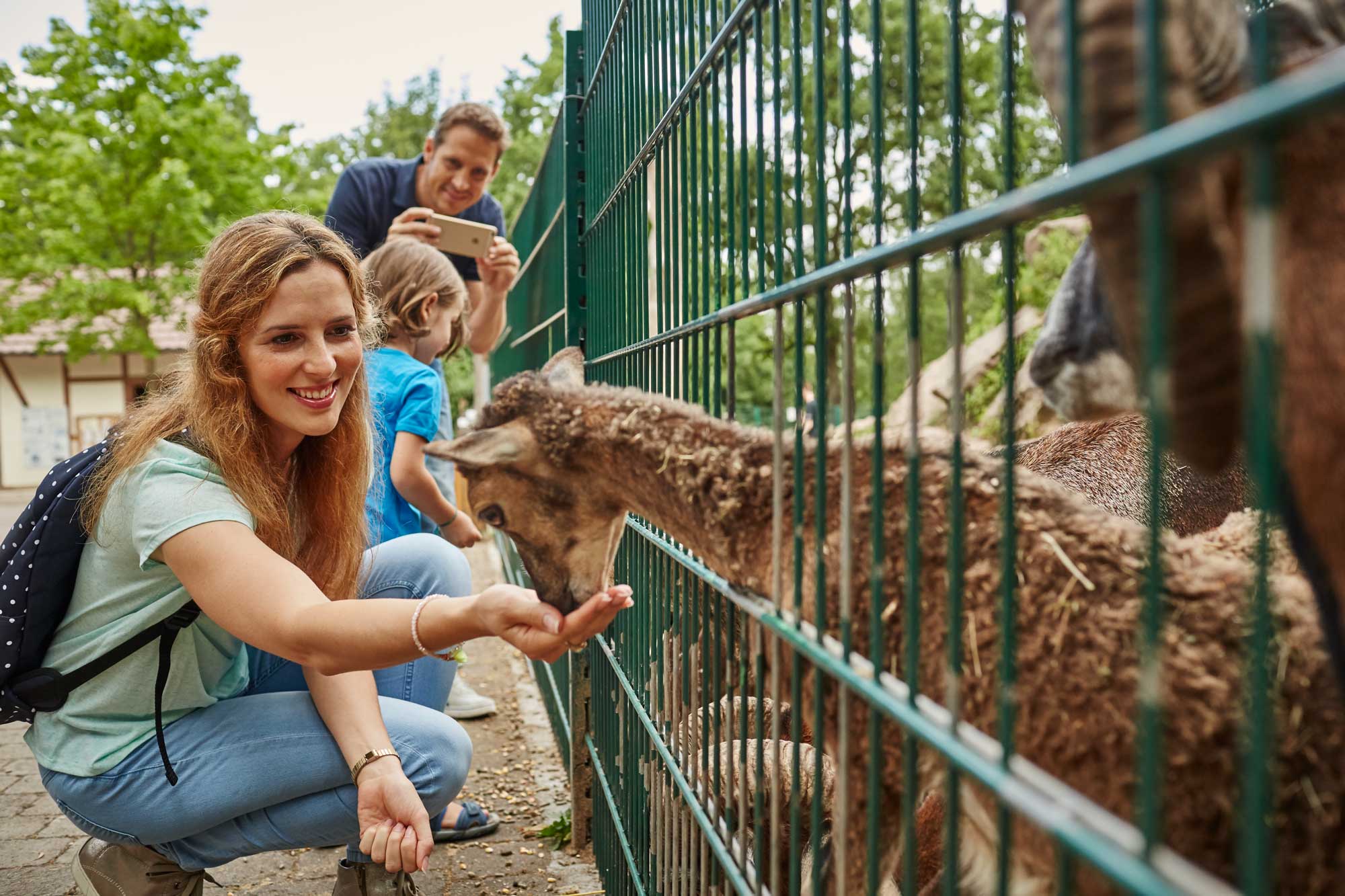 Eine Frau füttert eine Ziege, die in einem Gehege hinter einem grünen Zaun steht. Ein Mann und ein Kind stehen hinter der Frau.