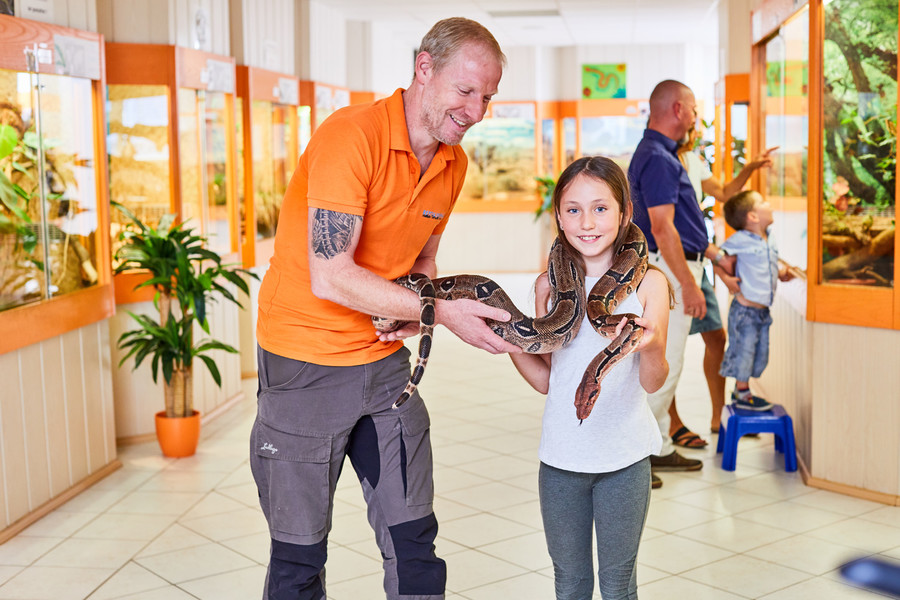 Ein Mädchen hält in einem Reptilienhaus eine Schlange auf ihren Schultern. Ein Tierpfleger hebt die Schlange dabei fest.