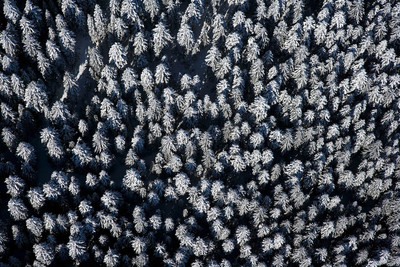Schneebedeckte Bäume im Schwarzwald von oben