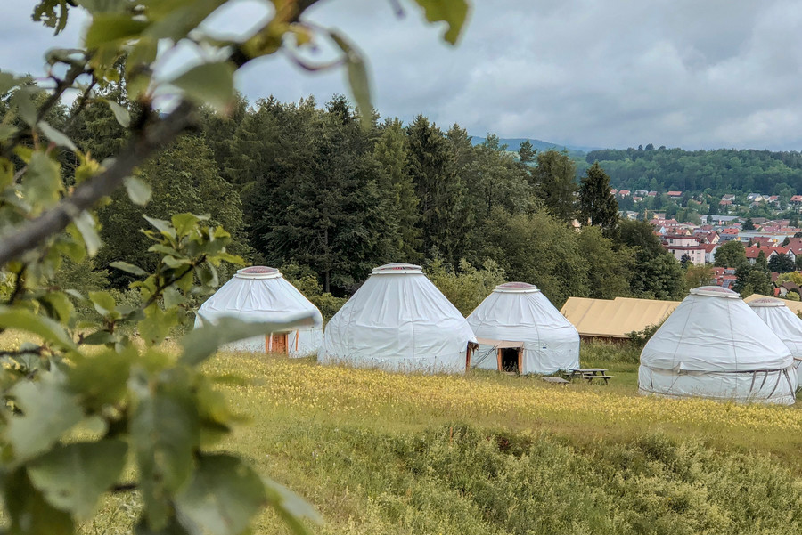 Auf einer Wiese stehen viele kleine, weiße, runde Zelte, die Jurten genannt werden. Im Hintergrund liegt ein Wald.