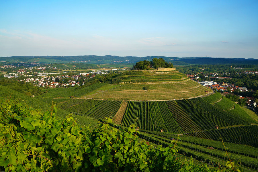 Blick auf die Burgruine im Weinsberger Tal in der Weinregion HeilbronnerLand.
