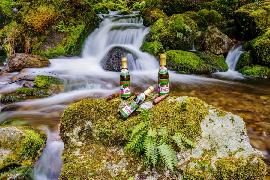 Die Brauerei Rothaus nutzt einhundertprozentigen Ökostrom aus der Region und bezieht ihr Brauwasser aus eigenen Quellen. 