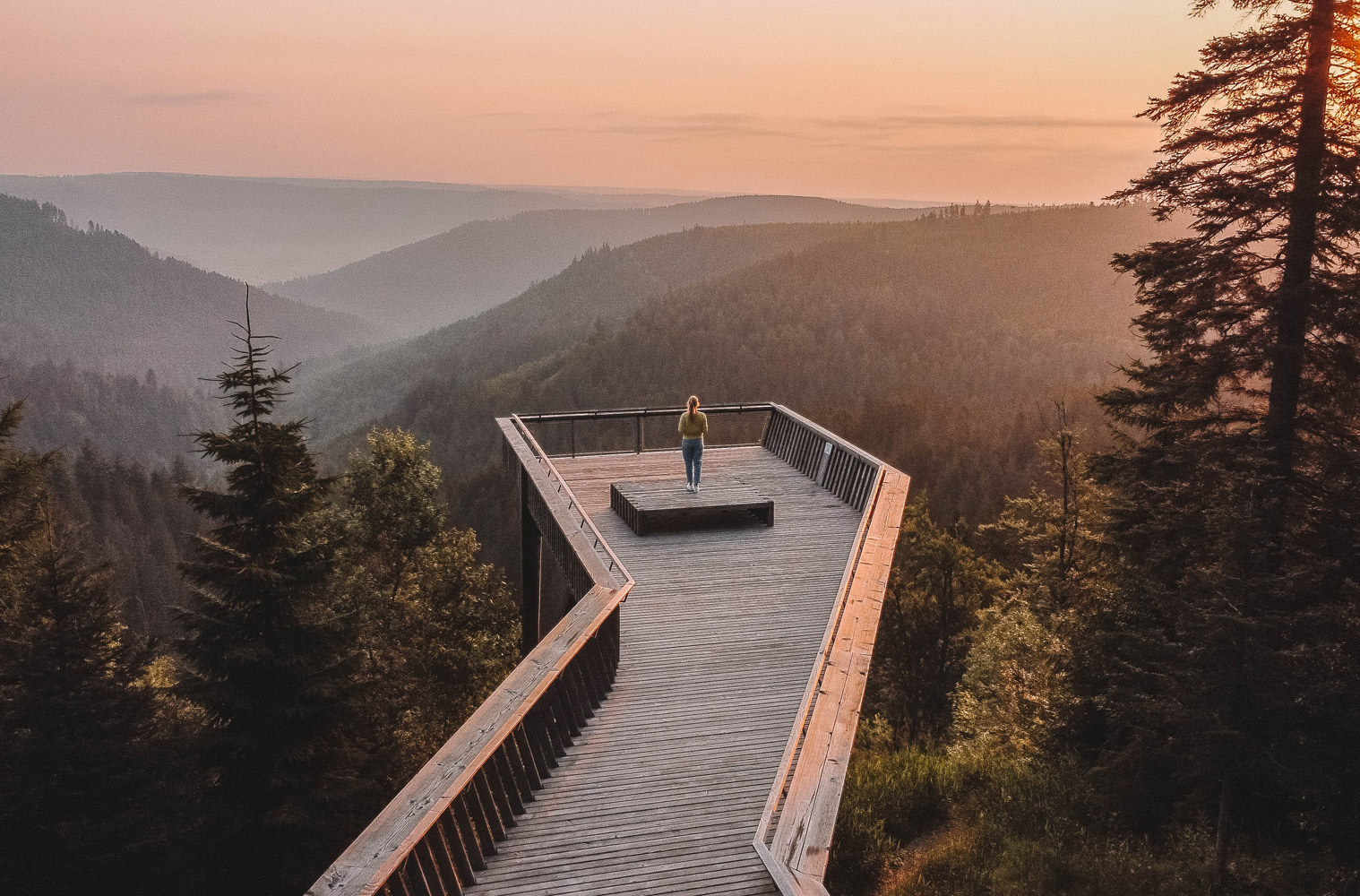 Eine Person steht auf einer Aussichtsplattform und schaut über die Tannen und Berge des Schwarzwaldes.