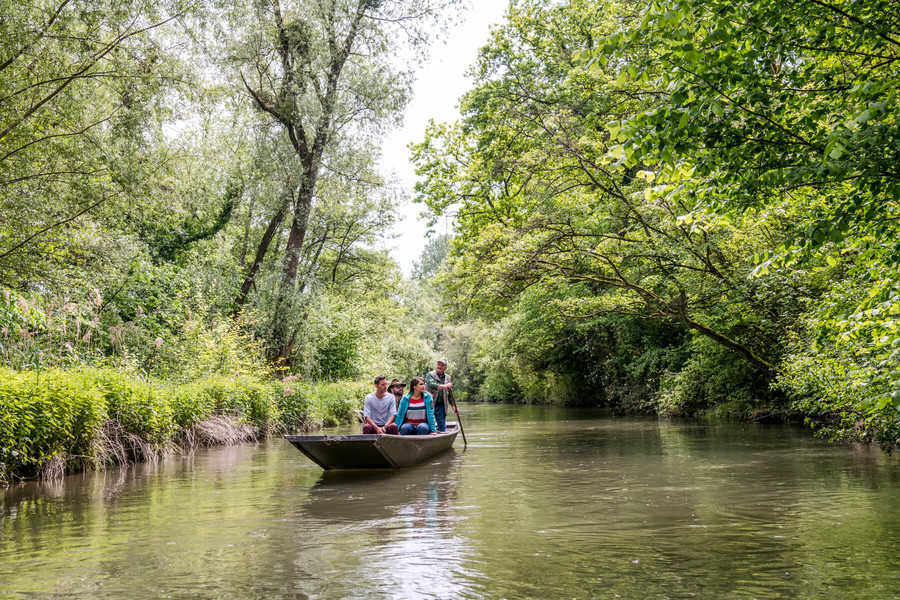 Vier Personen fahren zusammen mit einem Stocherkahn über einen Fluss. Das Ufer wird gesäumt von vielen Bäumen.