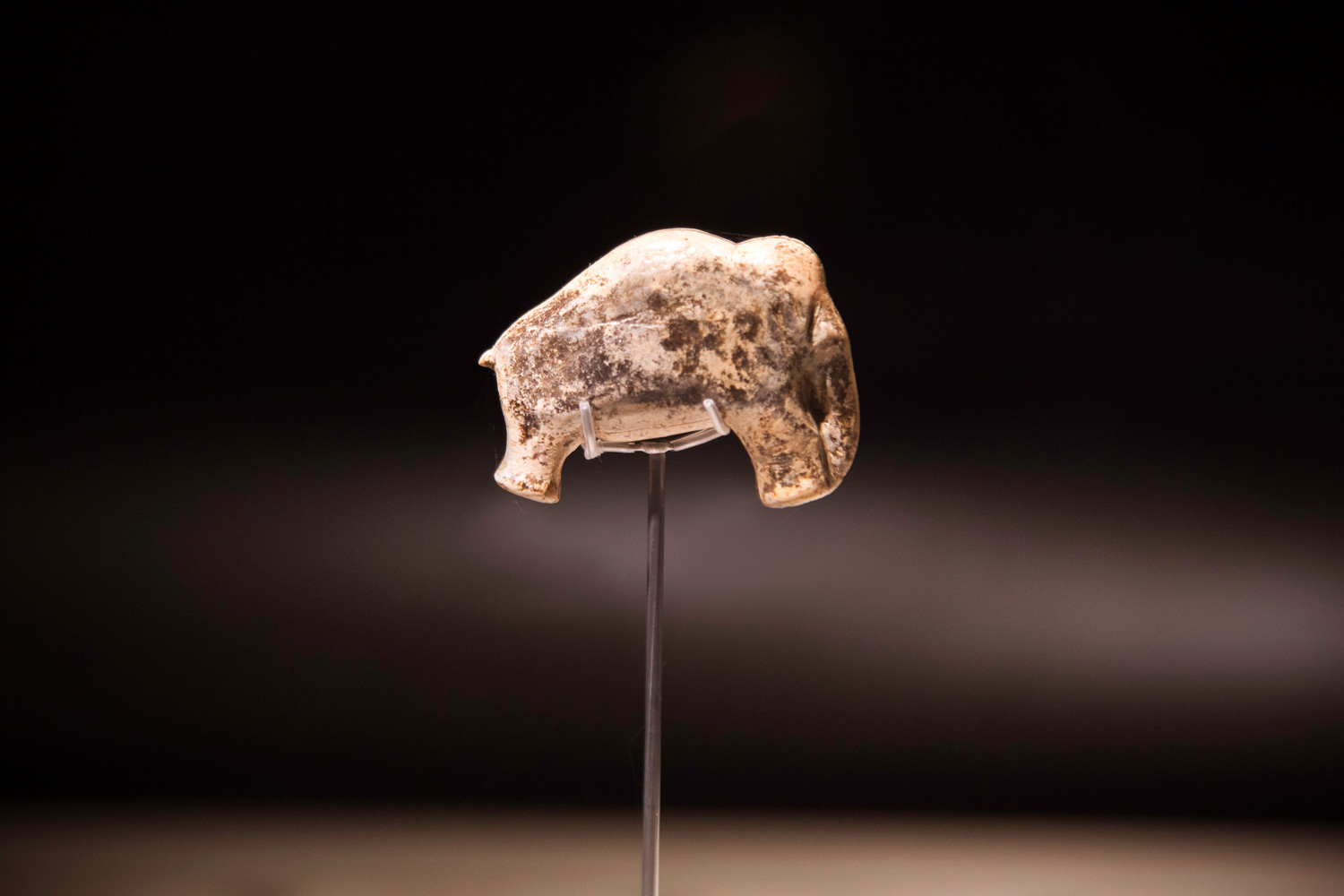 Auf einer Metallstele liegt oben ein nachgebildeter kleiner Mammut aus Stein. Der Hintergrund ist schwarz.