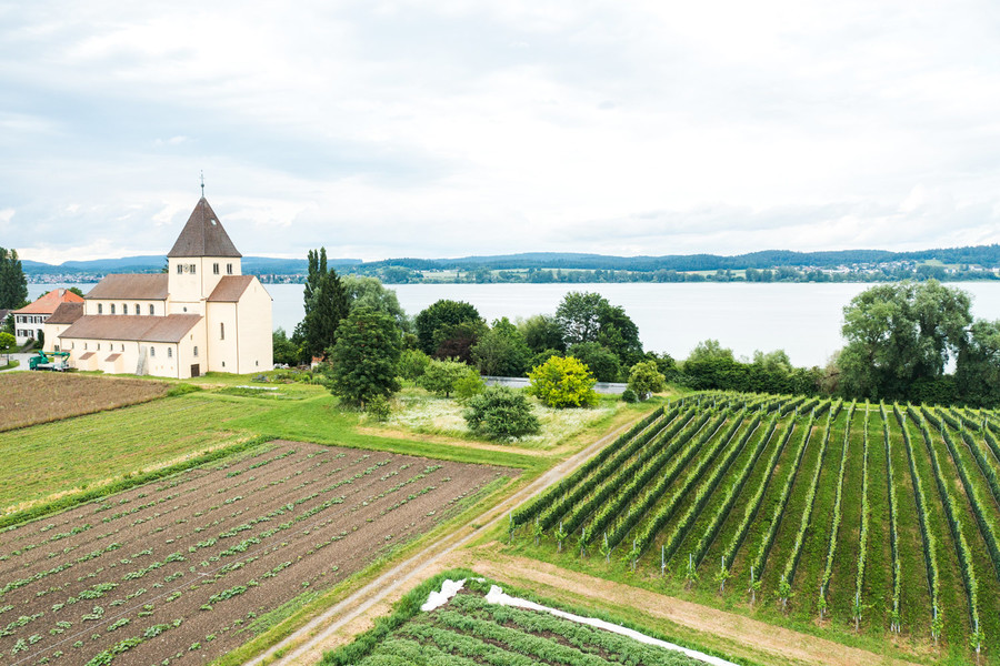 Luftaufnahme mit Blick auf Äcker und Weinberge. Im Hintergrund ist eine Kirche und der Bodensee.