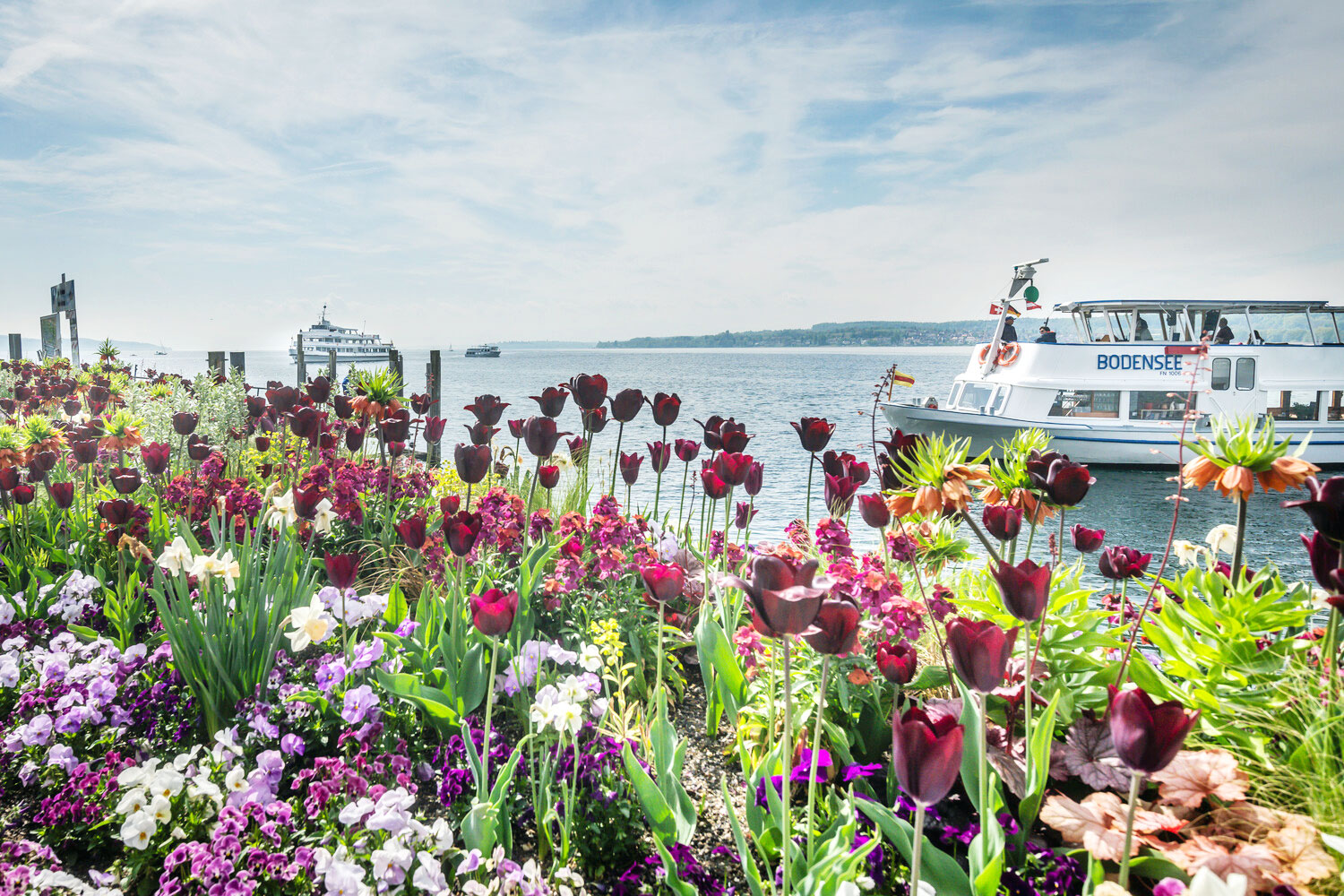 Die Uferpromenade von Überlingen mit dem Landungsplatz gleicht einem Blütenmeer. | © Winfried Heinze