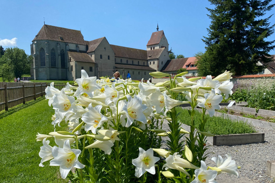 In Mittelzell begeistert das vermutlich 724 erbaute Münster St. Maria und Markus mit seinem Kräuter- und Klostergarten nicht nur Gäste mit einer Affinität für Pflanzen.|© Steidel