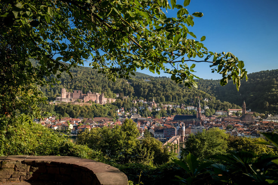 Blick über die Heidelberger Altstadt.