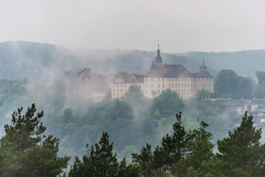 Hinter dichtem Nebel und von Bäumen umgeben steht das Schloss Langenburg.