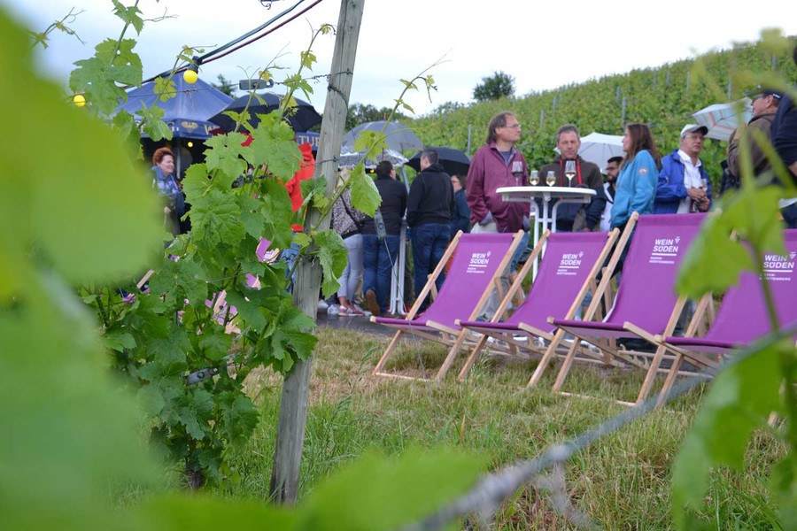 An Stehtischen im Weinberg stehen viele Personen und trinken Wein. Im Vordergrund stehen vier lila Liegestühle mit dem Weinsüden Logo.