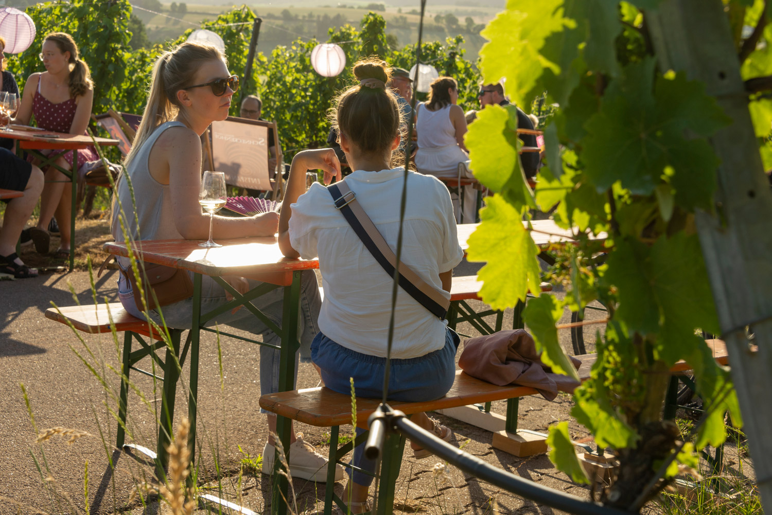 Bei den Weinsüden Pop-ups genießen Weinfans den Wein dort, wo die Reben wachsen - mitten im Weinberg. |© TMBW