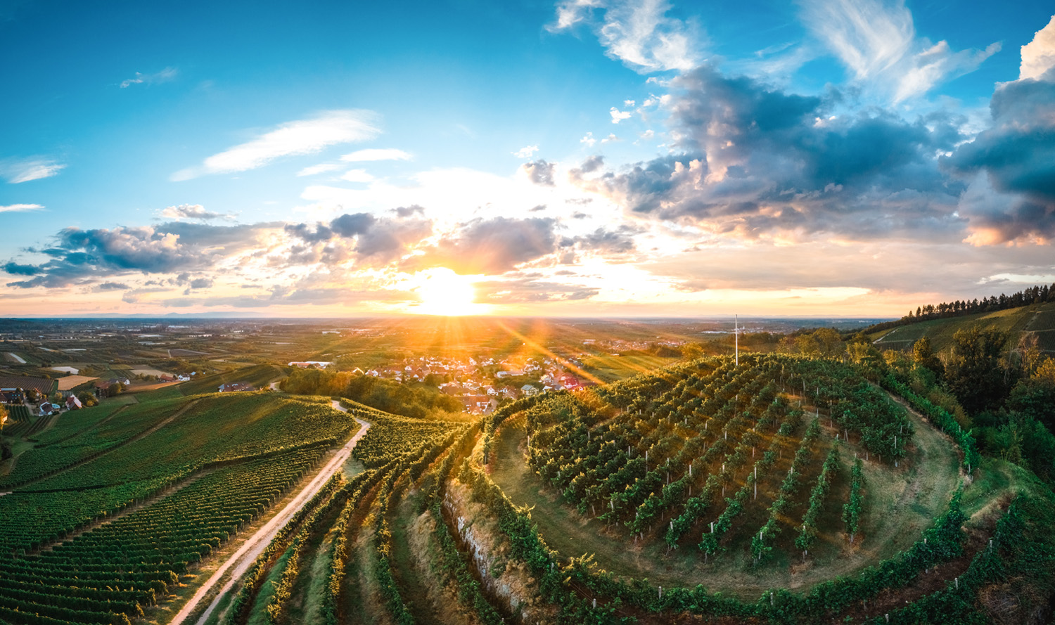 Einfach magisch wie die Sonne die Ullenburg bei Oberkirch in der Ortenau erstrahlen lässt. Die Rebhänge entlang der Weinschleife glänzen im Sonnenlicht.| © Oberkircher Winzer eG, Benedikt Spether
