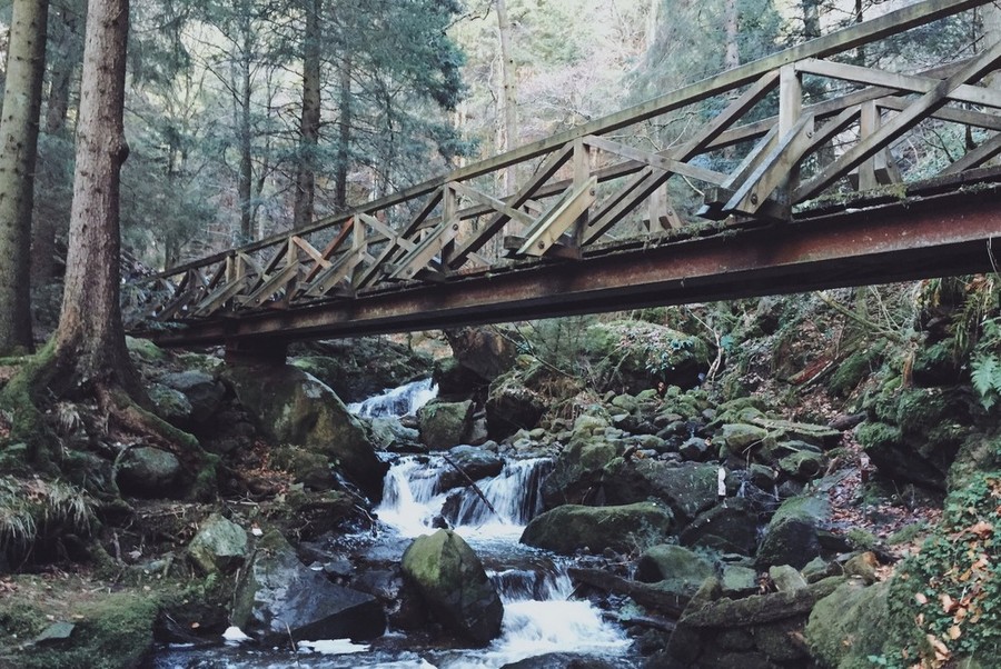 Durch eine Schlucht führt eine kleine Holzbrücke unter der ein schmaler Fluss verläuft.